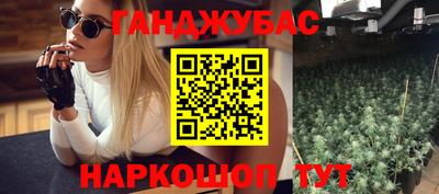 стаф Гудермес