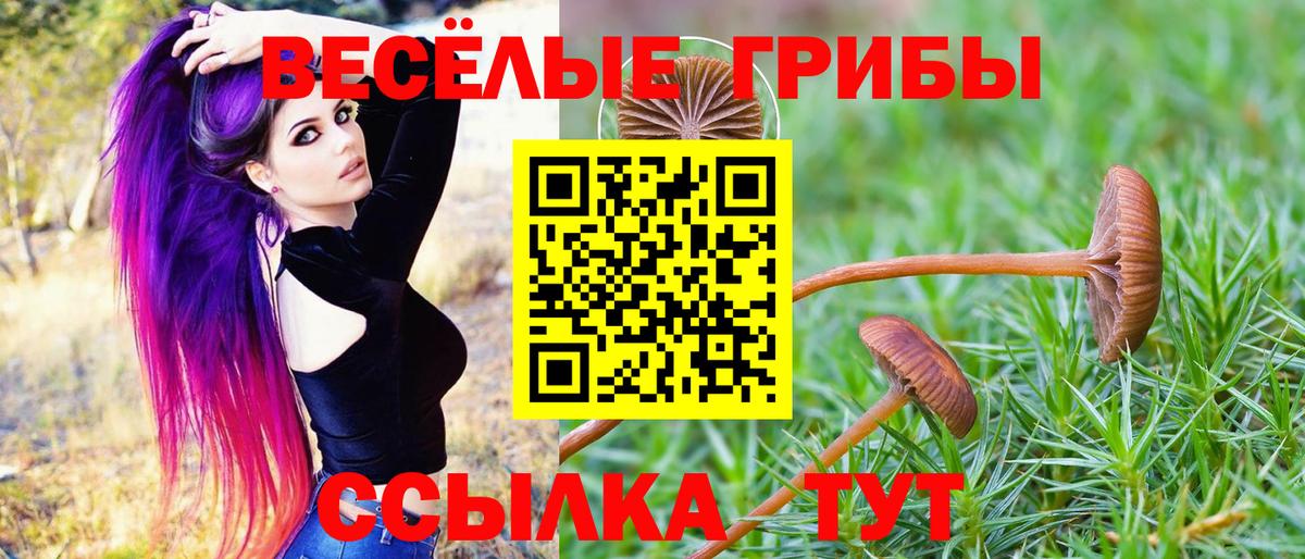 Псилоцибиновые грибы MAGIC MUSHROOMS  Вход с VPN  дарнет шоп  Грязи 