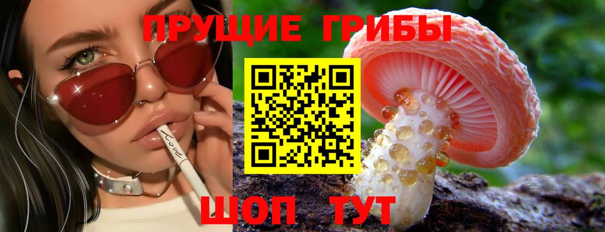 Галлюциногенные грибы Psilocybe Грязи